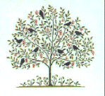 Fremme Vogelbaum